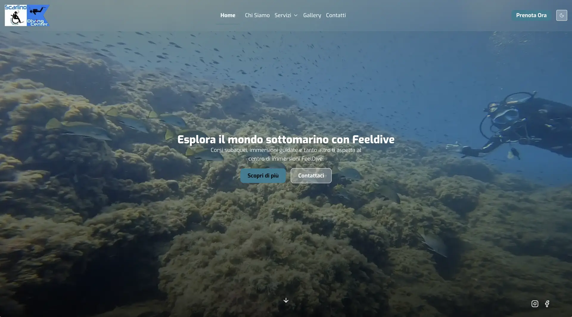 Feeldive diving center screenshot 1