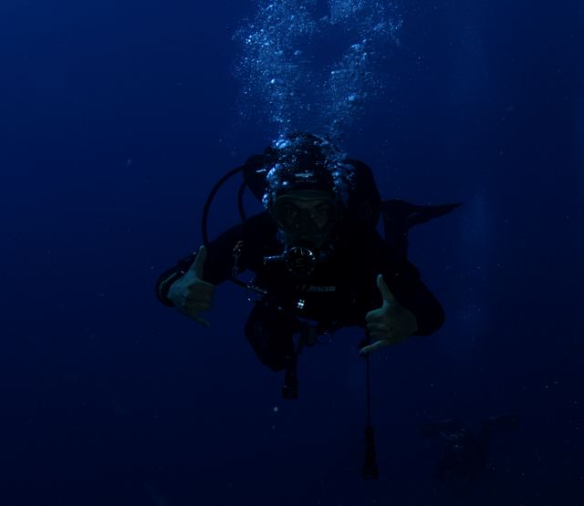 Jun, 2019 - Curr. - Divemaster and Deep scuba guide at Feeldive Diving Center